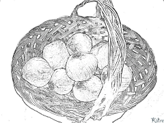 onion Coloring Pages To Print